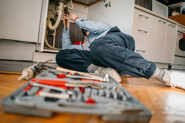 Best Local Plumber Services  in Newark, NY