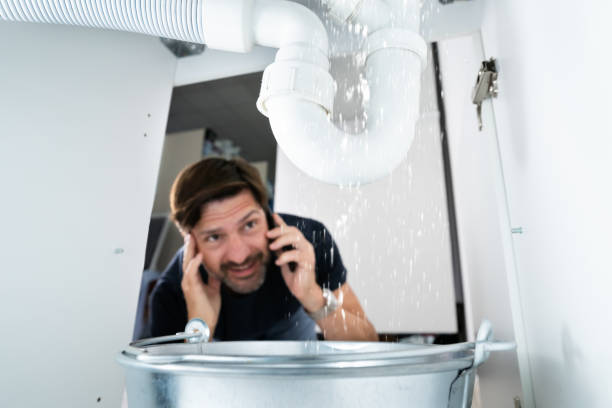 Best Residential Plumbing Services  in Newark, NY